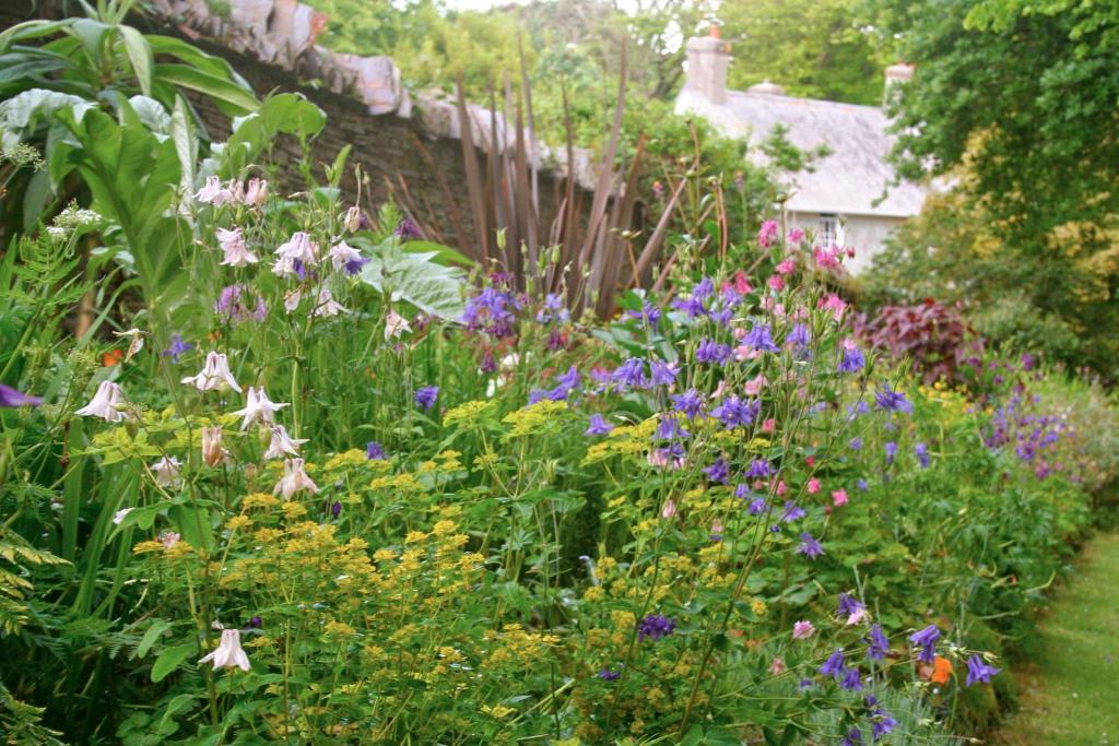 The Old Rectory Bed & Breakfast Boscastle Ngoại thất bức ảnh